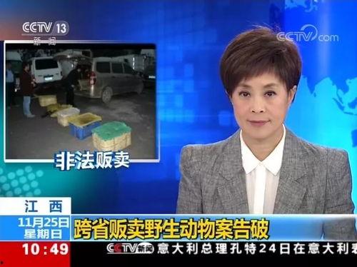 遂川爆料小哥新闻夜航,新闻夜航中的民间观察者