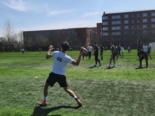 橄榄球协会爆料视频,揭秘橄榄球运动背后的精彩瞬间  第2张