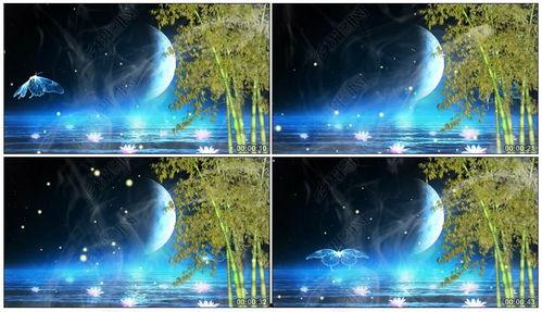 月光爆料最新视频下载网站,最新视频下载网站大起底  第3张