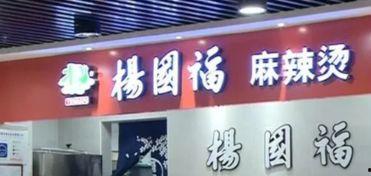 最新杨国福爆料新闻,揭秘餐饮行业内幕  第2张